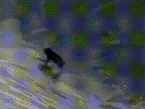 美女这个锻炼动作让我觉得我不配