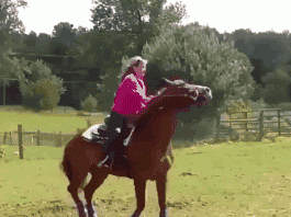 下班了来我办公室一趟