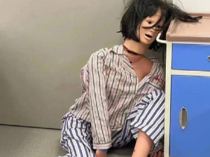 江苏一男子欠钱不还，12只猫咪被拍卖抵债！