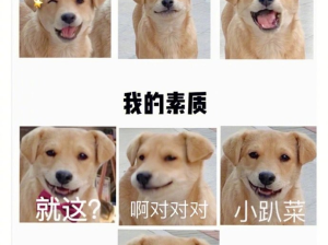美国男子烂醉“性侵”汽车尾管遭捕！！！
